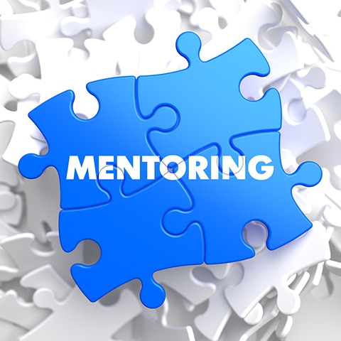 Business Mentoring