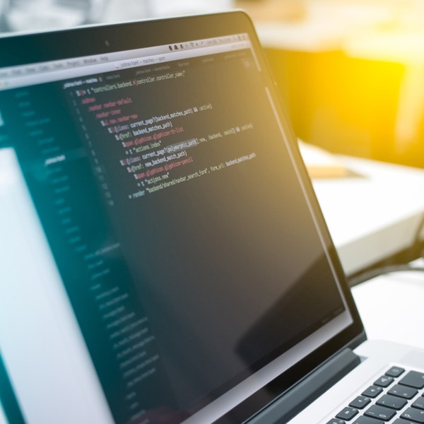 Web Developer