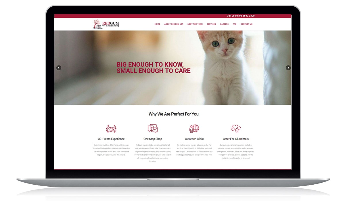 web-design-seo-Veterinary-website